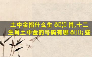 土中金指什么生 🦟 肖,十二生肖土中金的号码有哪 🐡 些